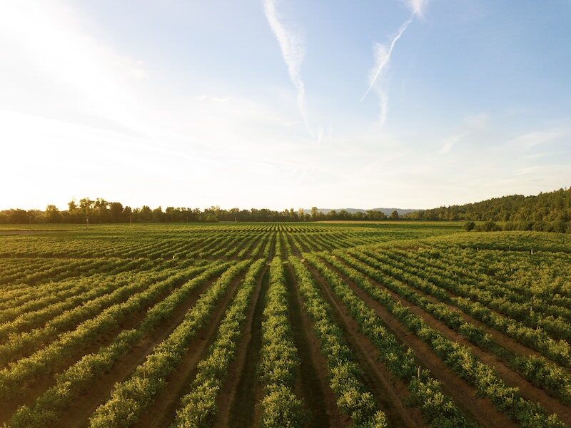 universities fighting world hunger virtual summit