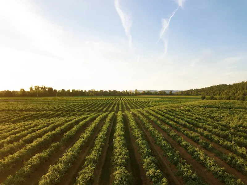 universities fighting world hunger virtual summit
