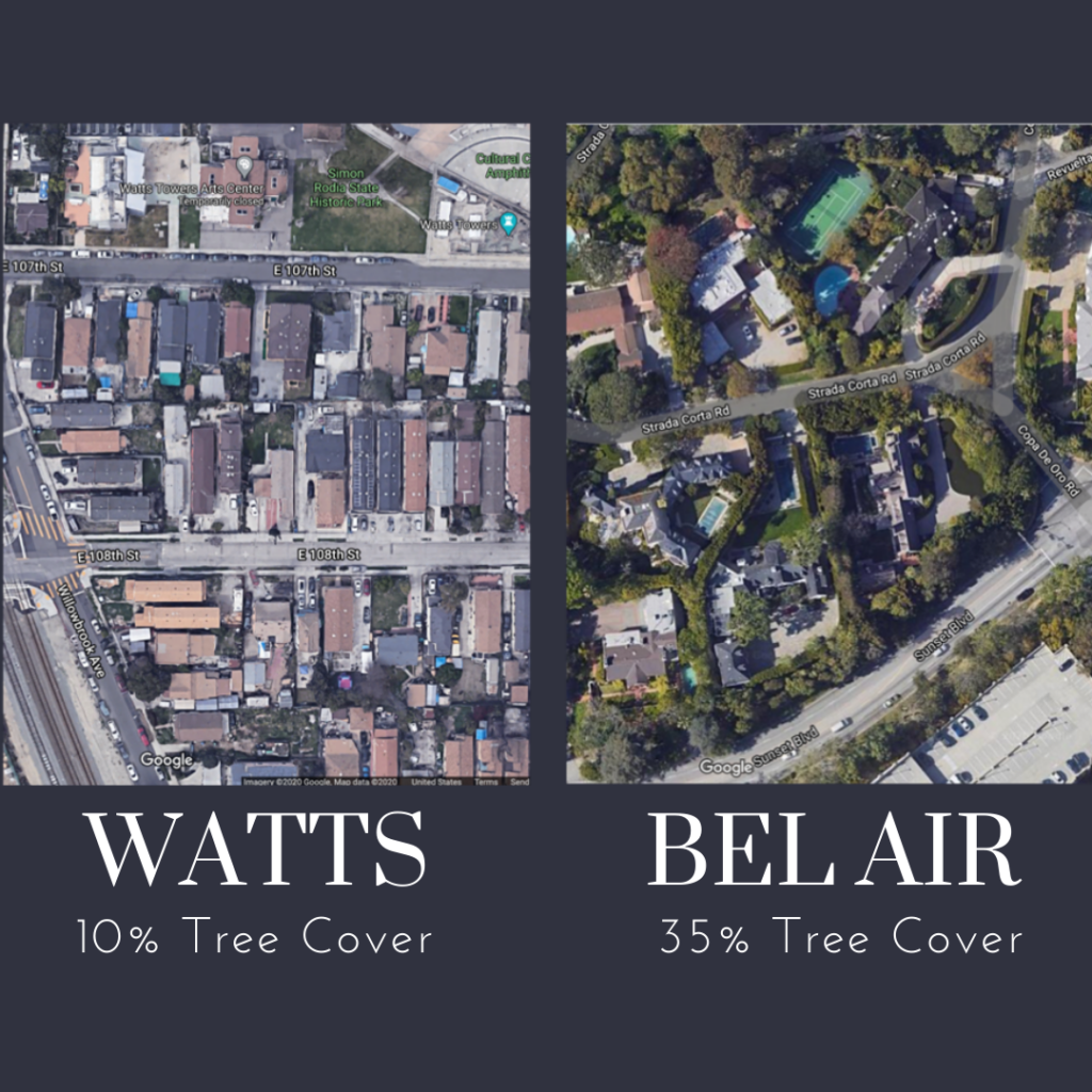 ucla professors win $956,000 award to tackle rising heat in los angeles communities