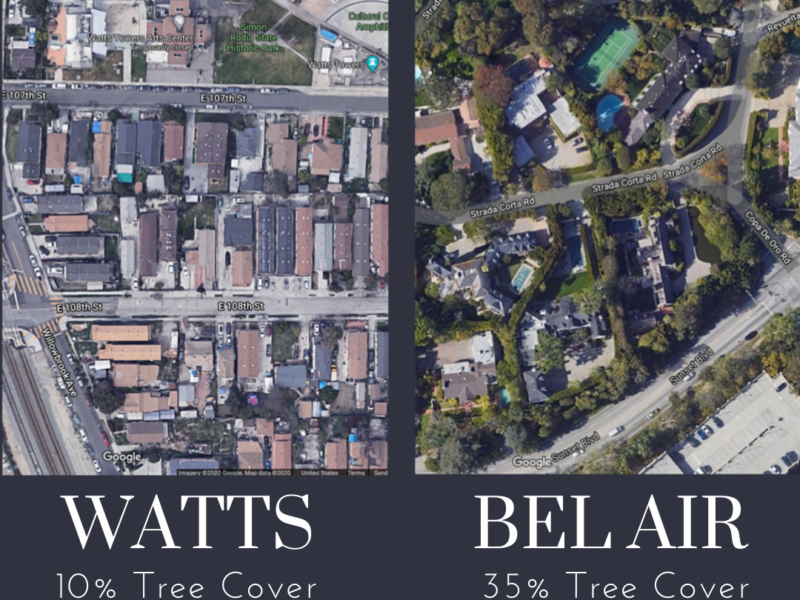ucla professors win $956,000 award to tackle rising heat in los angeles communities