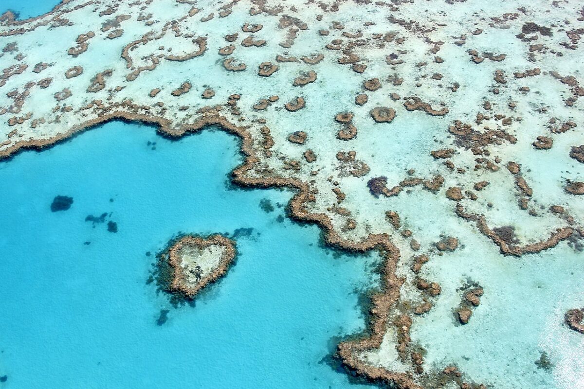warming and acidification form dual threat to corals