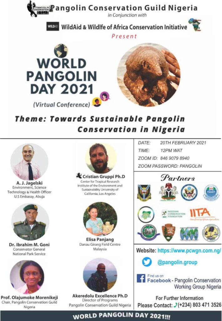 cristian gruppi presents at world pangolin day nigeria conference