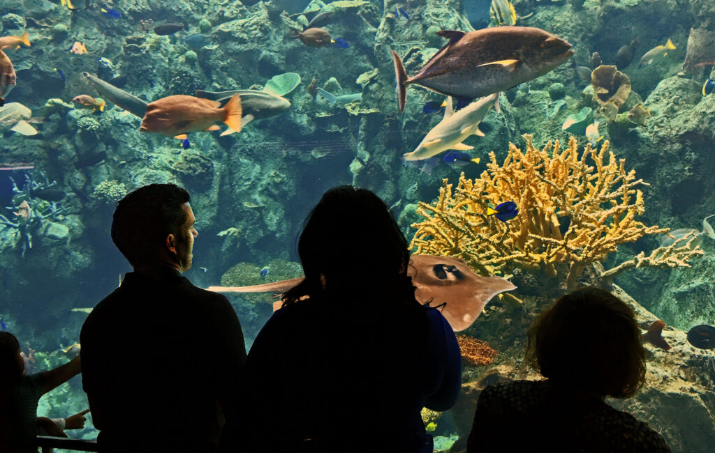 creating a sustainable waste management plan for the aquarium of the pacific