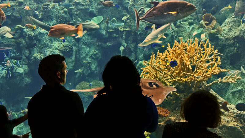 creating a sustainable waste management plan for the aquarium of the pacific