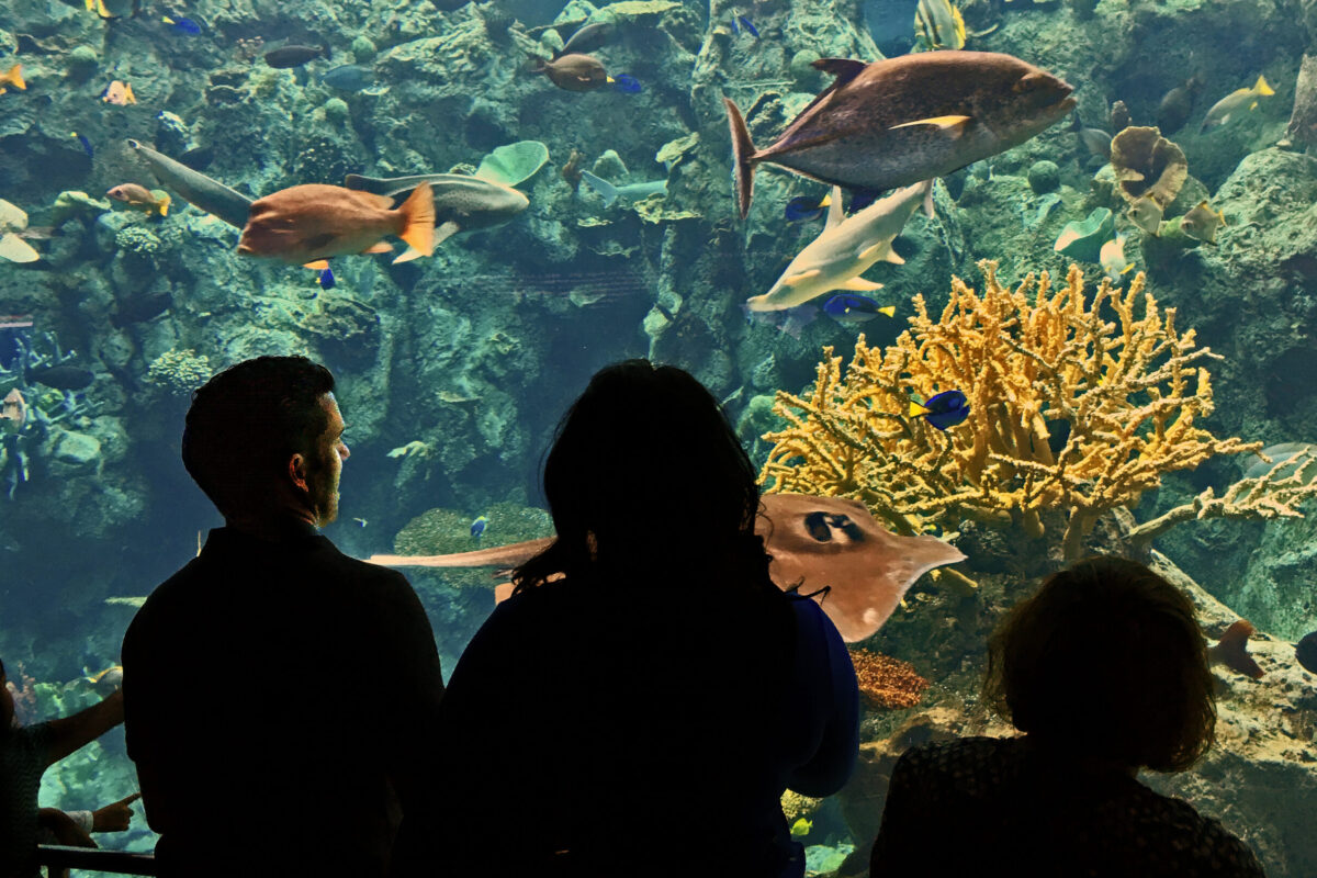 creating a sustainable waste management plan for the aquarium of the pacific
