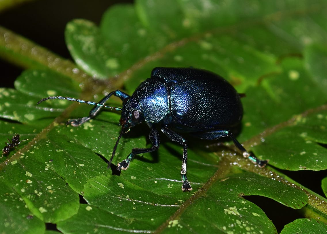 study reveals which outdoor lighting minimizes harm to insects