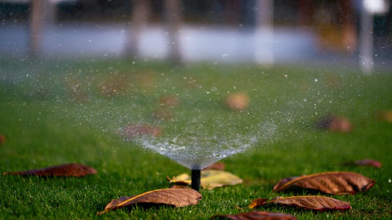 water sprinkler