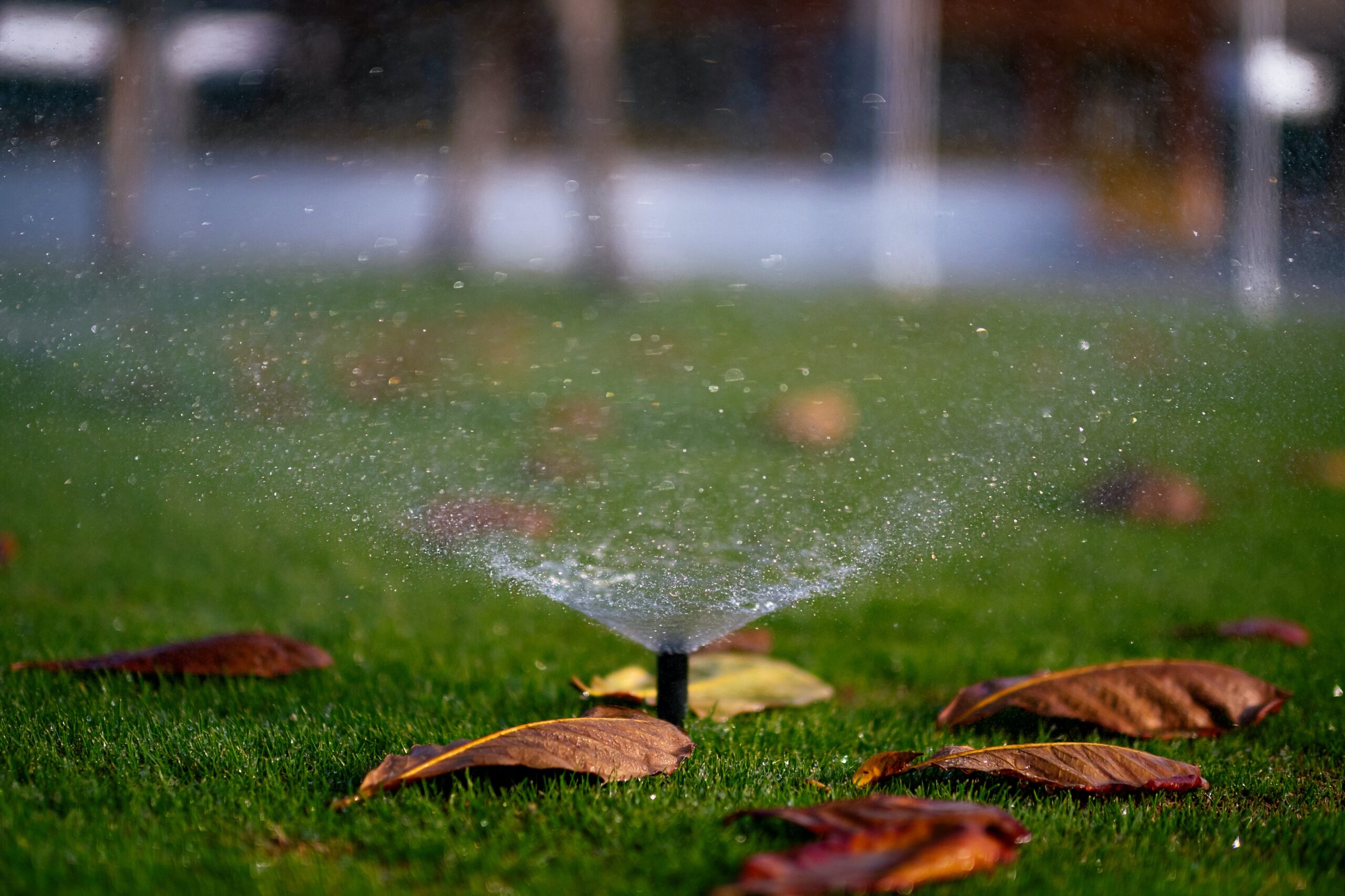 water sprinkler