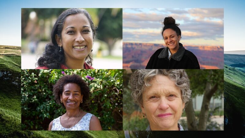 ucla’s women leaders discuss their influence in the environmental science field