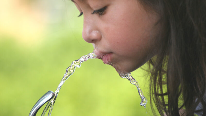 kid drinking water from fountain