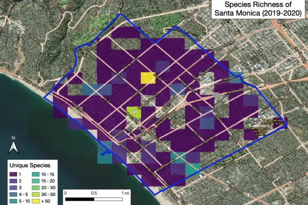 assessing biodiversity indicators in santa monica