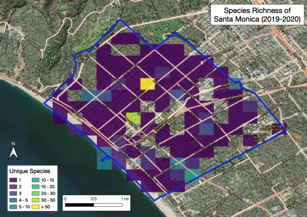 assessing biodiversity indicators in santa monica