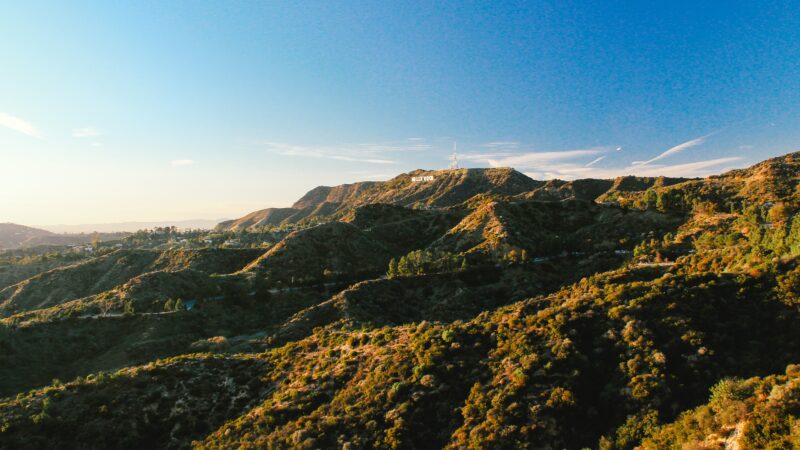 assessing indicator species to measure biodiversity in los angeles