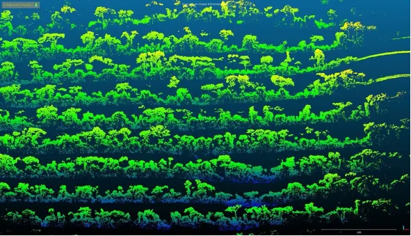 understanding seed disperser movements