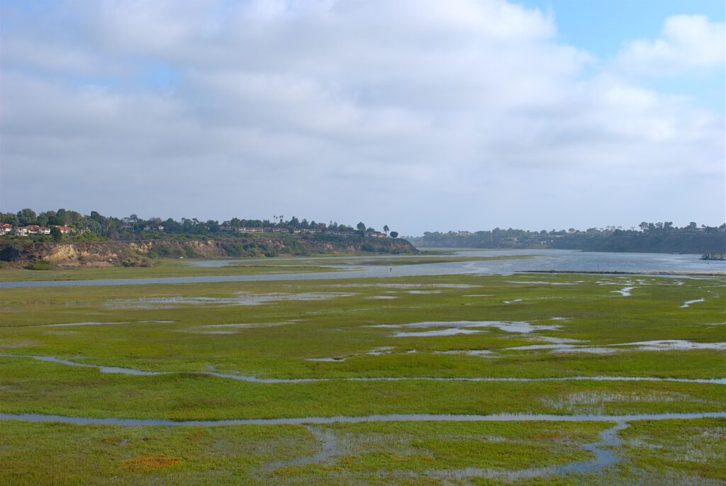 human wastewater is feeding harmful algae blooms off of southern california’s coast