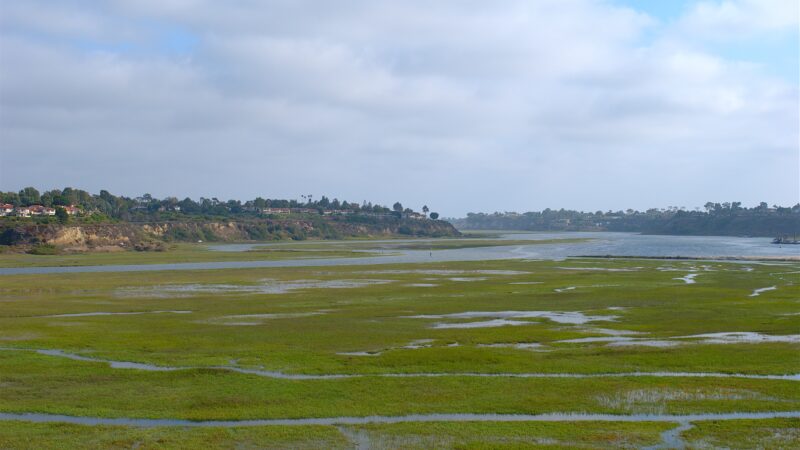 human wastewater is feeding harmful algae blooms off of southern california’s coast