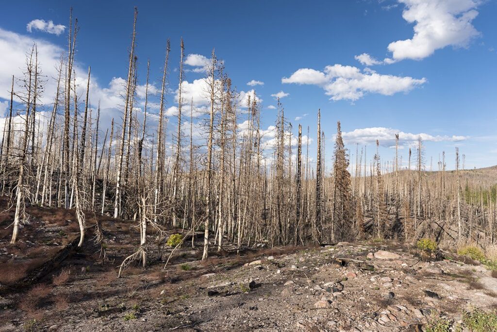 reduced humidity increases wildfire threat in southwest u.s.