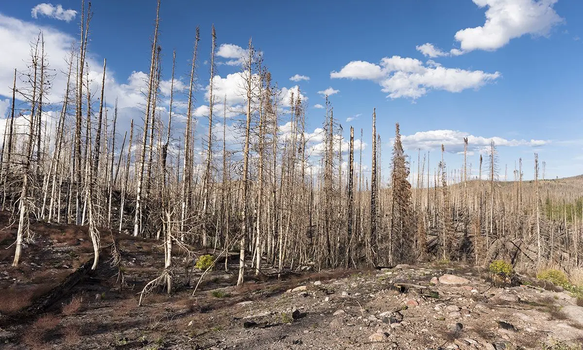 reduced humidity increases wildfire threat in southwest u.s.