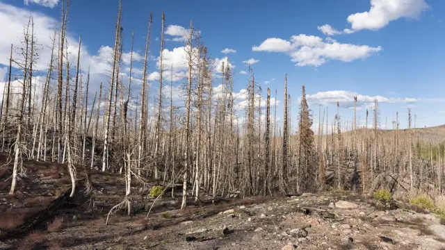 reduced humidity increases wildfire threat in southwest u.s.