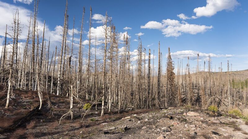 reduced humidity increases wildfire threat in southwest u.s.