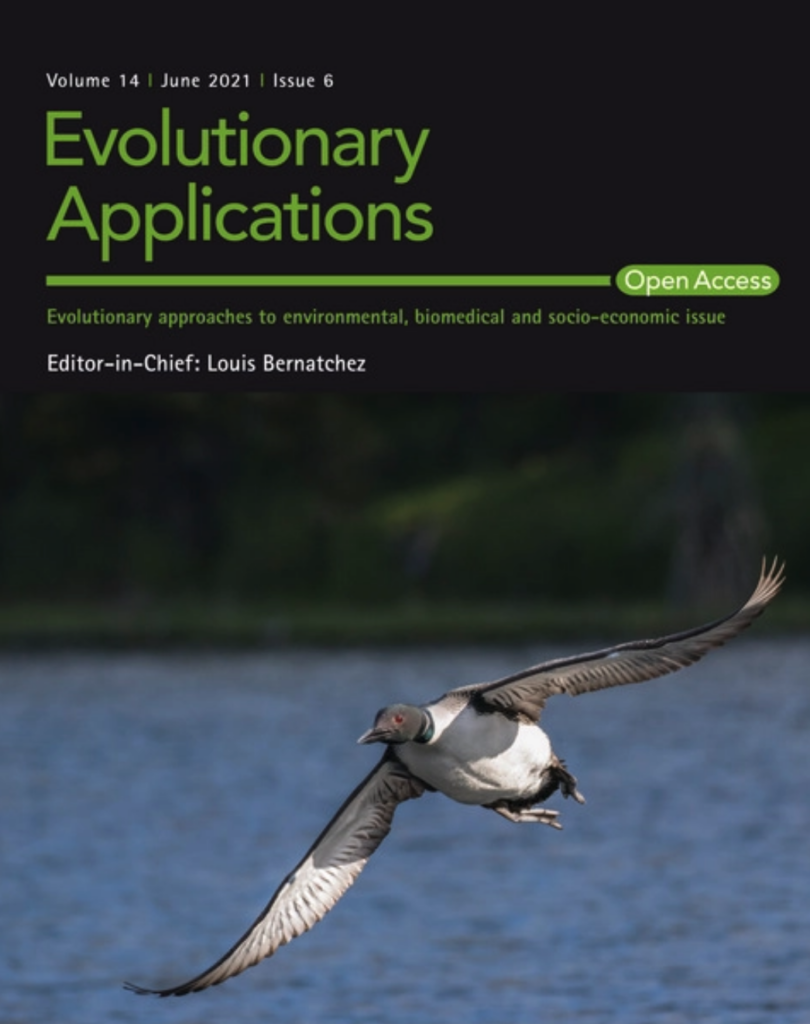 EAJunecover_CommonLoon