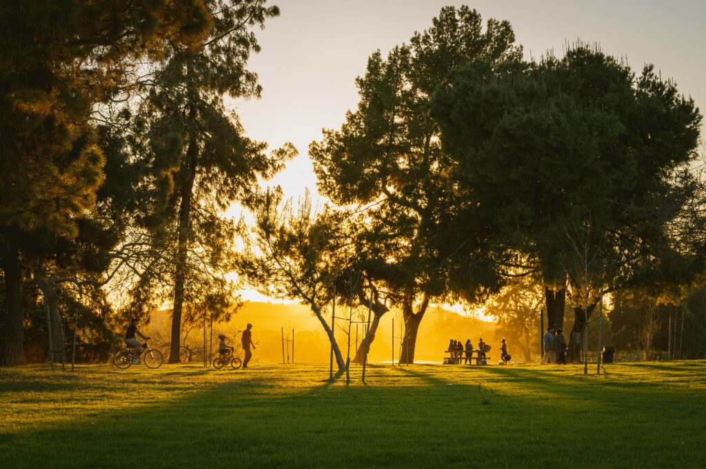 public park