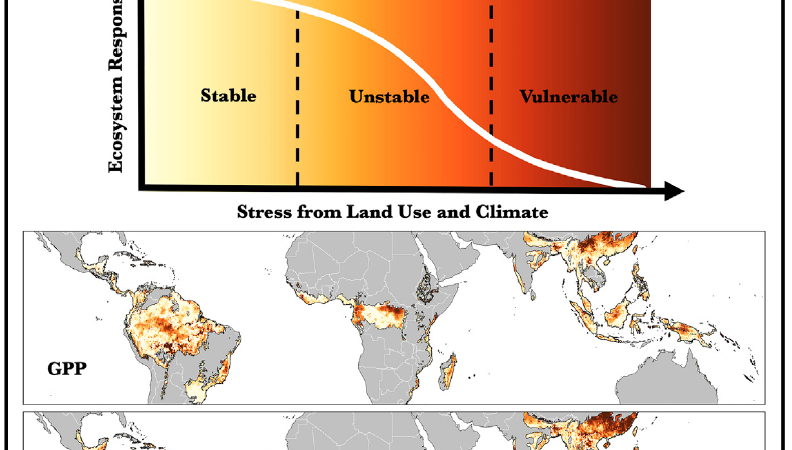 Saatchi-Detecting-Vulnerability-of-tropical-rainforests