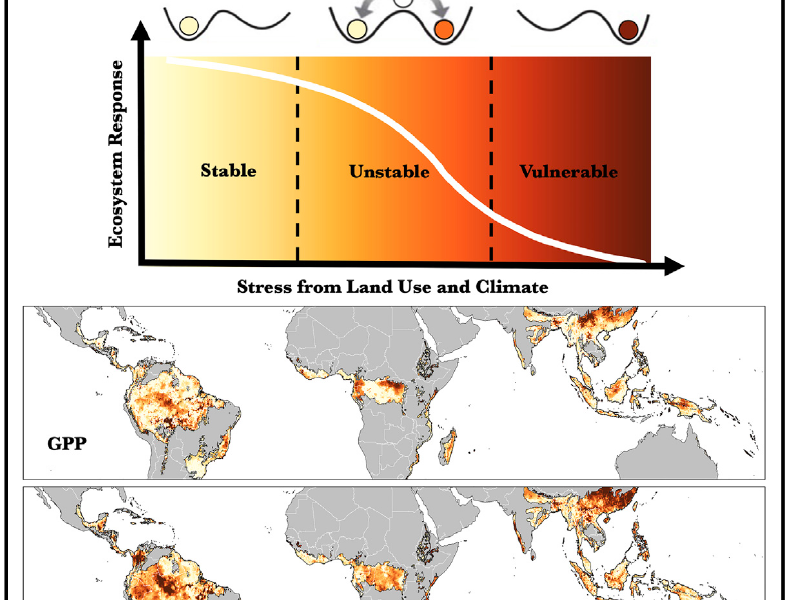 Saatchi-Detecting-Vulnerability-of-tropical-rainforests