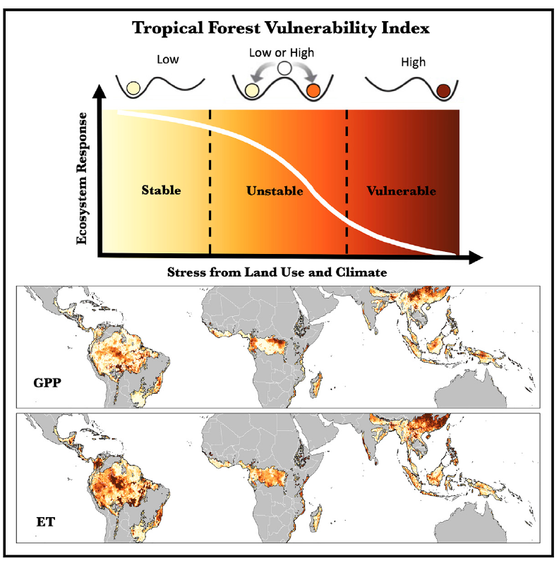 Saatchi-Detecting-Vulnerability-of-tropical-rainforests