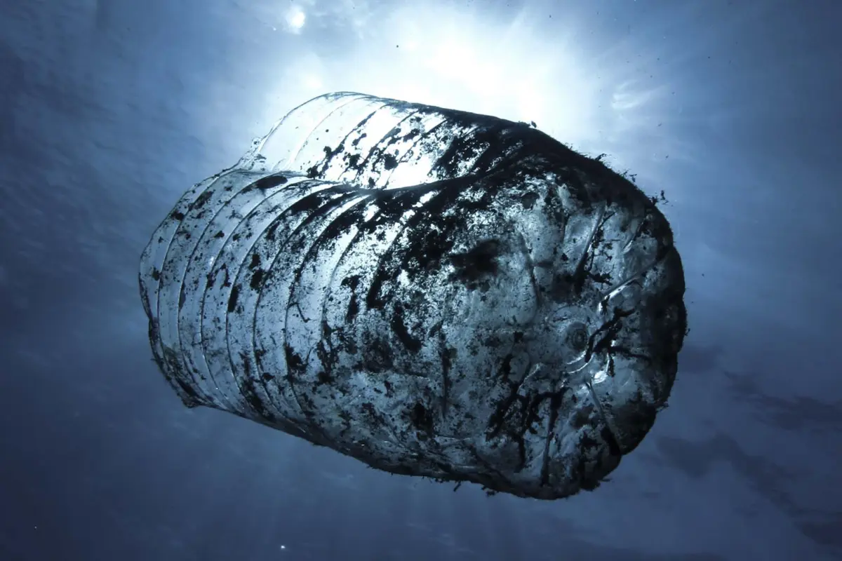 Plastic in ocean