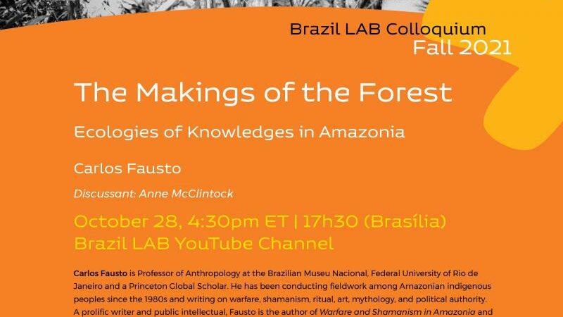 brazil_lab_flyer_orange_oct__