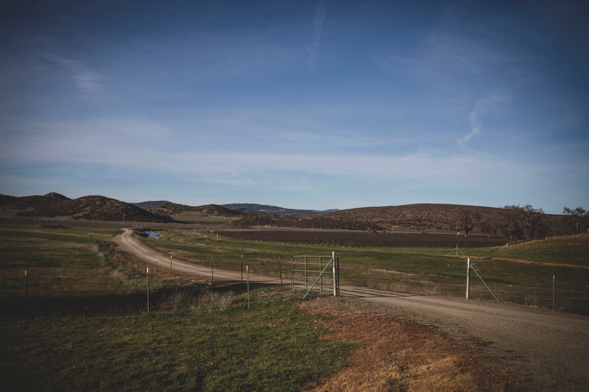 Guenoc-Valley-NYT