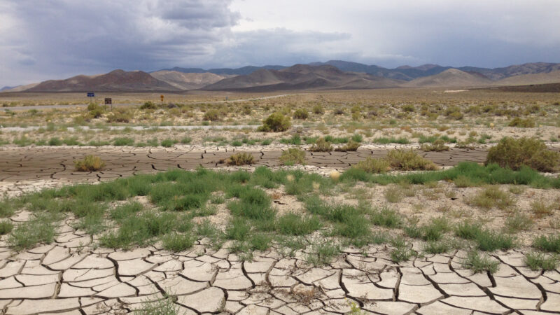 Drying and cracking land.