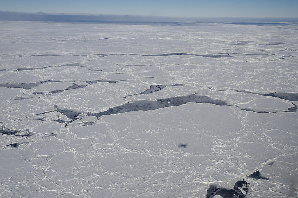 Antarcticaseaice