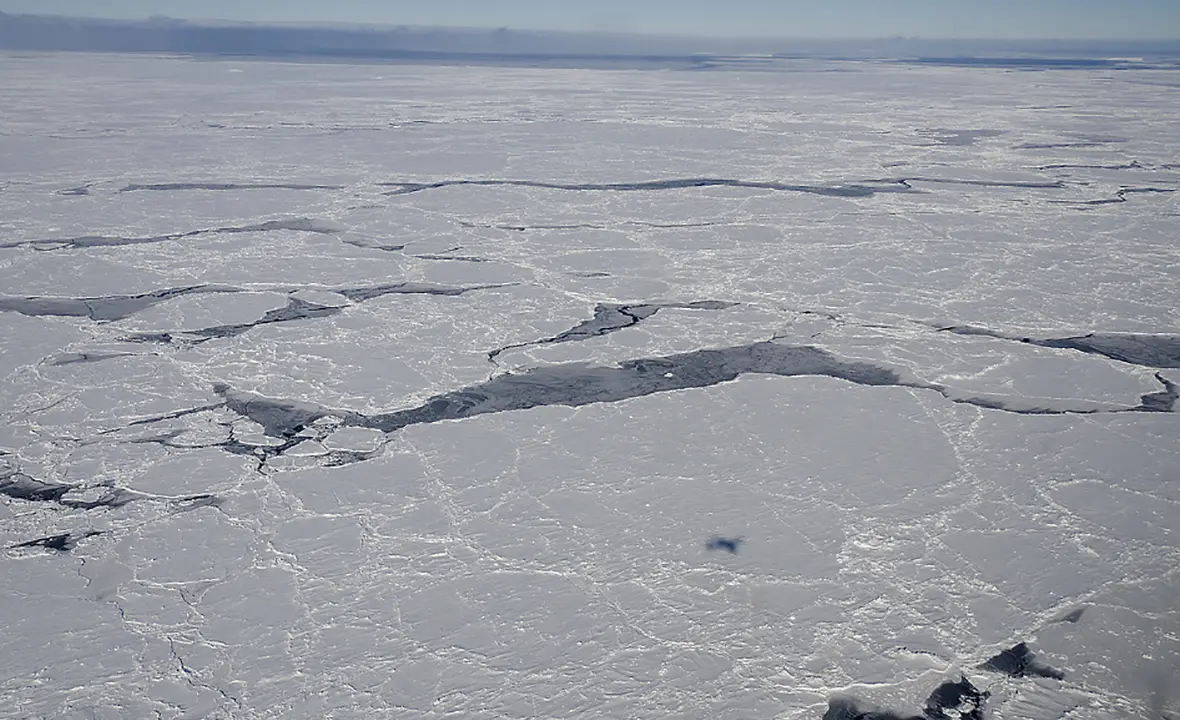 Antarcticaseaice