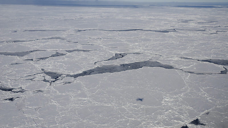 Antarcticaseaice