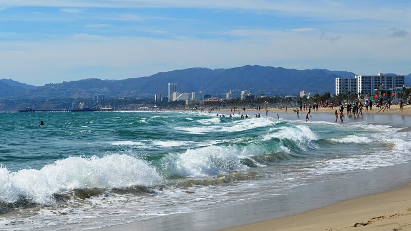 Venice_Beach-_Los_Angeles-_CA_
