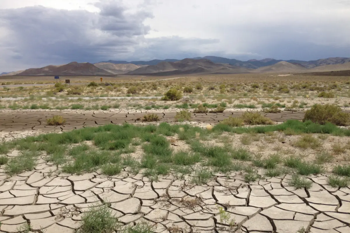 Drying and cracking land.