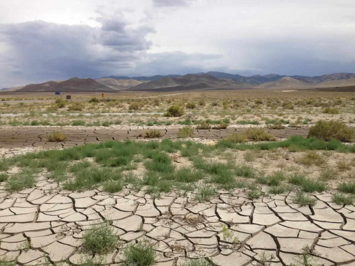 Drying and cracking land.