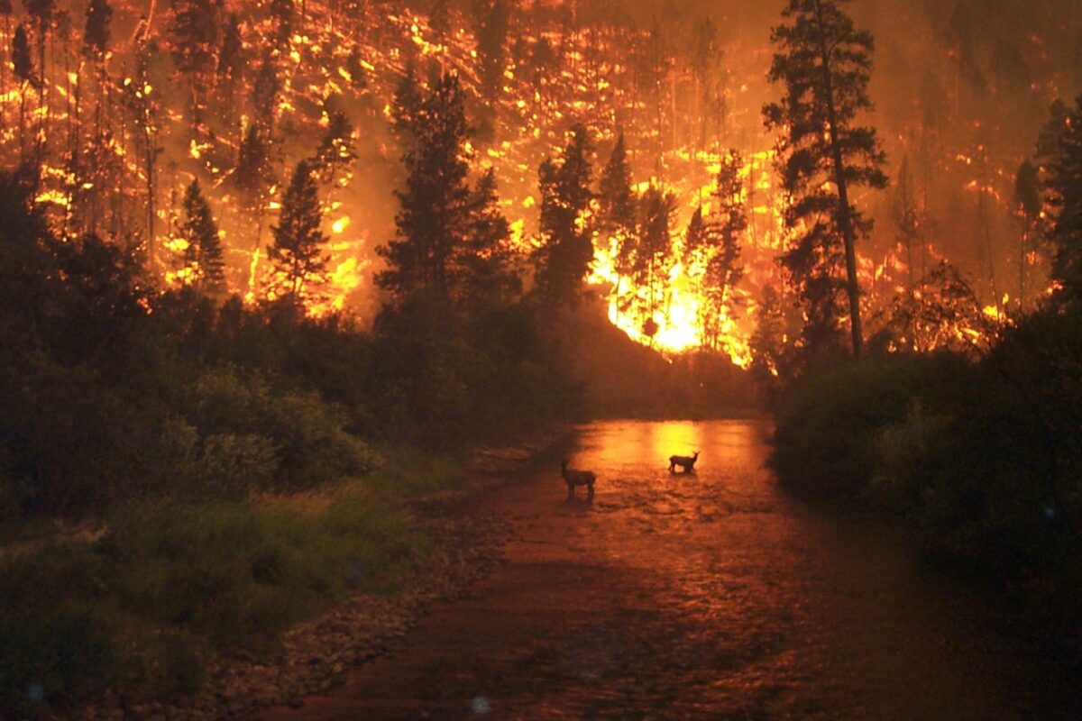 sunlight-morning-smoke-fire-glow-burn--pxhere com_