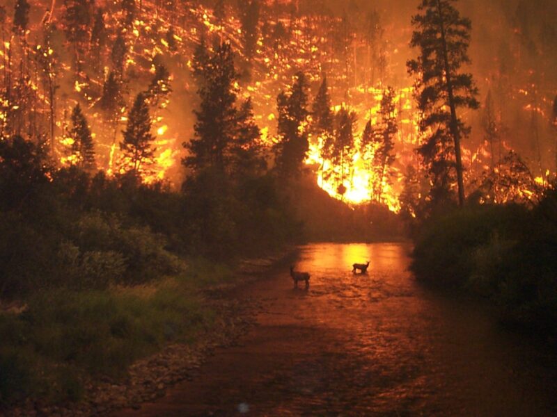 sunlight-morning-smoke-fire-glow-burn--pxhere com_