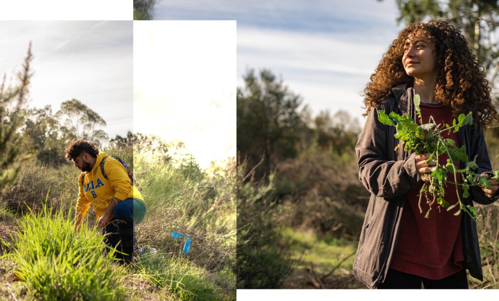 Students Tara Bretzfelder (right) and David Facio (left), both seniors studying environmental science, remove invasive plant species at Sage Hill.