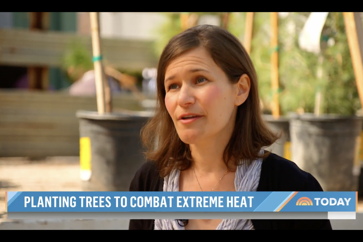 Planting-Trees-for-Extreme-Heat-Edith-de-Guzman-Today
