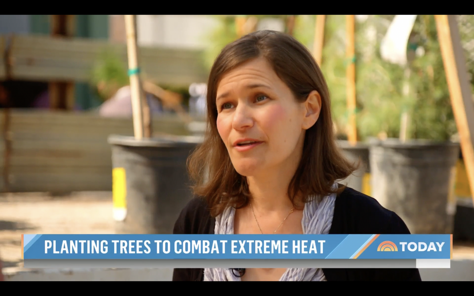 Planting-Trees-for-Extreme-Heat-Edith-de-Guzman-Today