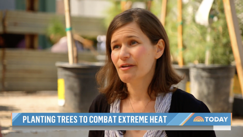 Planting-Trees-for-Extreme-Heat-Edith-de-Guzman-Today
