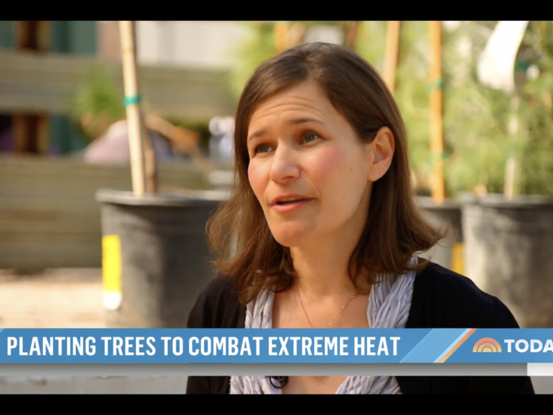 Planting-Trees-for-Extreme-Heat-Edith-de-Guzman-Today