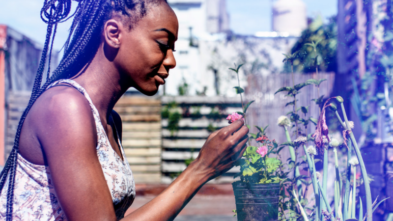 woman in a garden