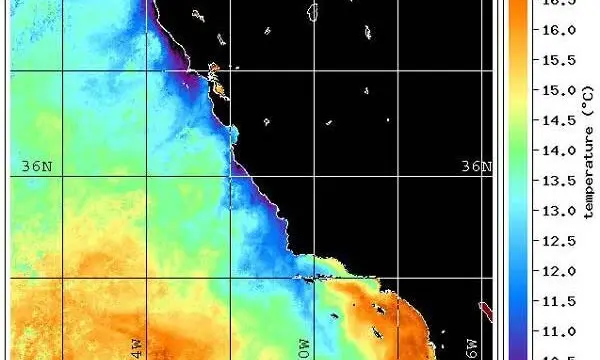 Water_temperature_off_the_California_coastline