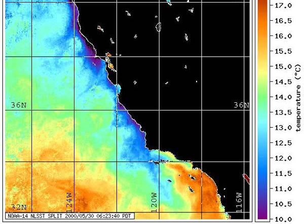 Water_temperature_off_the_California_coastline