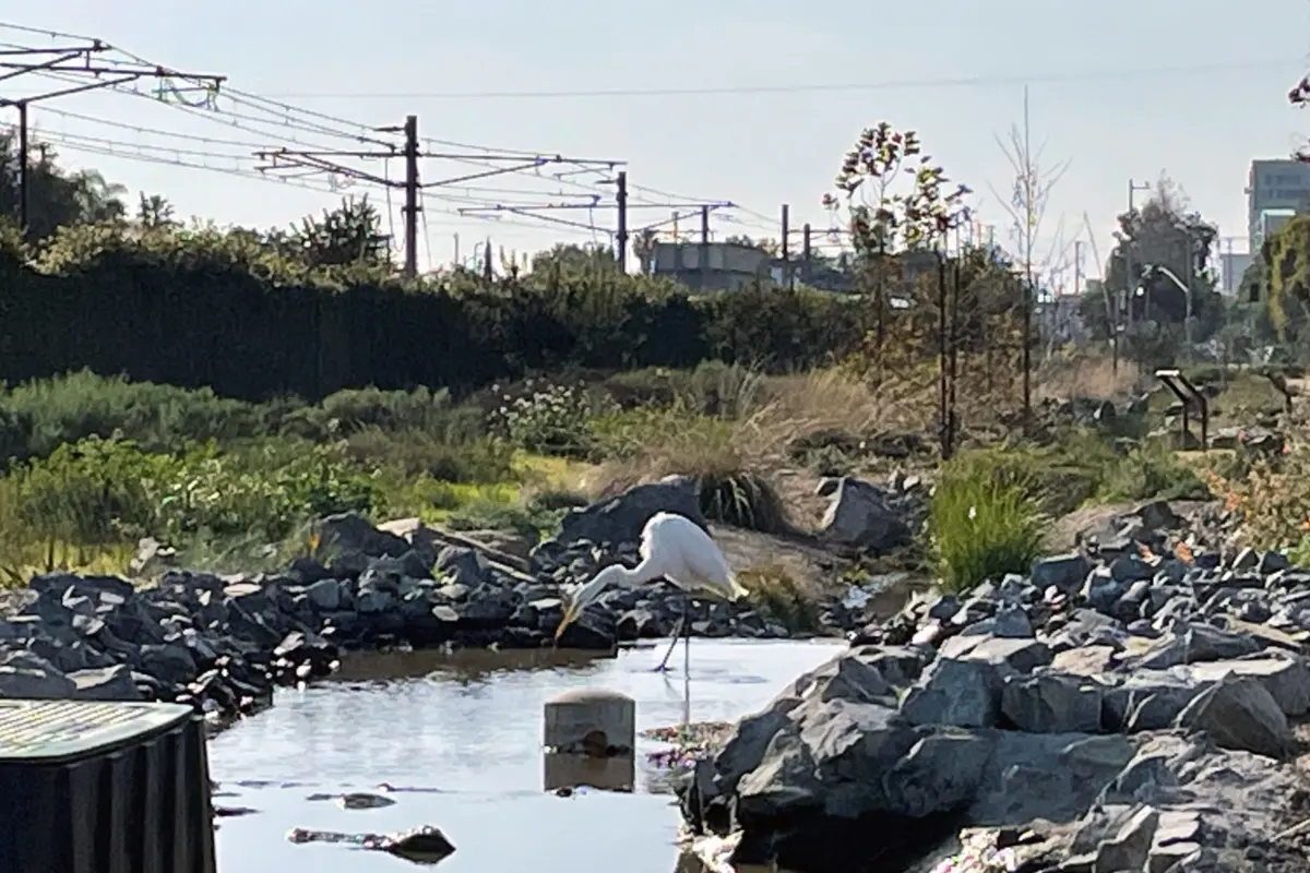 Westwoodgreenway4